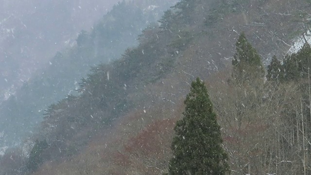 雪花在日本冬天的景观视频素材