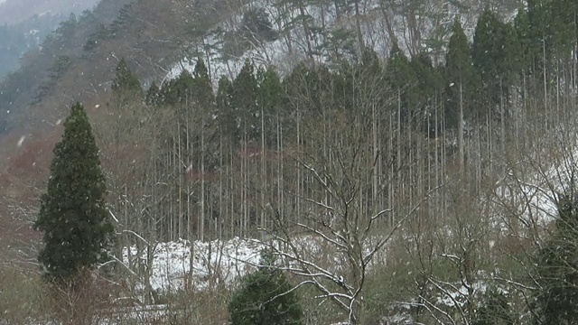 雪花在日本冬天的景观视频素材