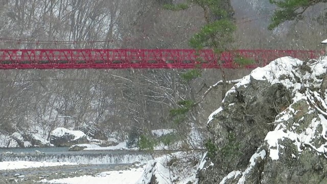 雪花在日本冬天的景观视频素材