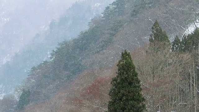 慢镜头雪花在日本冬天的景观视频素材