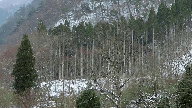 慢镜头雪花在日本冬天的景观视频素材