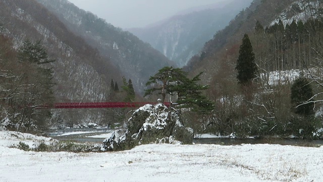 雪花在日本冬天的景观视频素材