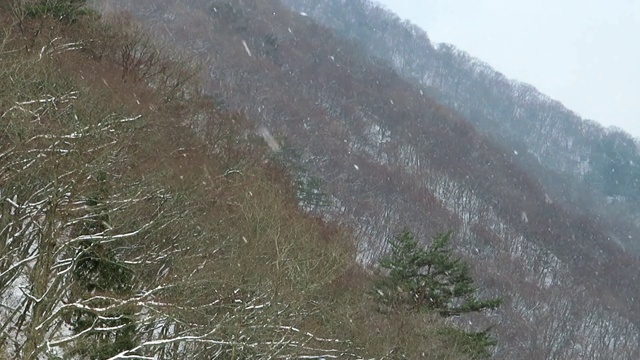 慢镜头雪花在日本冬天的景观视频素材