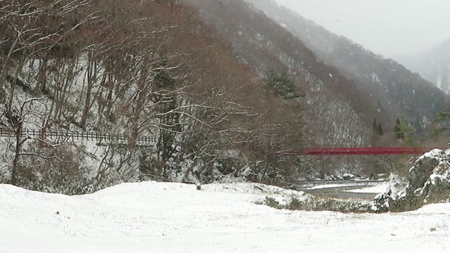 雪花在日本冬天的景观视频素材