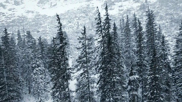 冬季仙境。的雪山风景。鸟瞰图视频素材