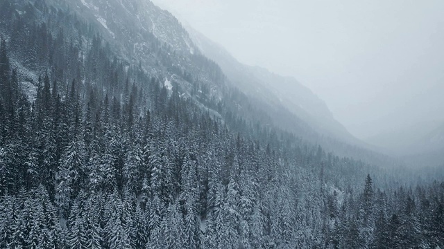 冬季仙境。的雪山风景。鸟瞰图视频素材