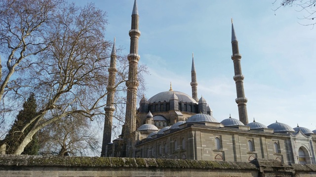 Selimiye清真寺概览，Edirne，土耳其视频素材