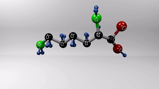 赖氨酸分子。视频素材