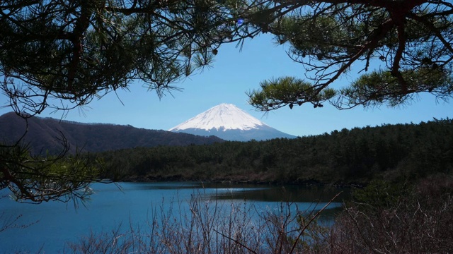 从Saiko湖看富士山视频素材