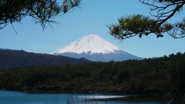 从Saiko湖看富士山视频素材