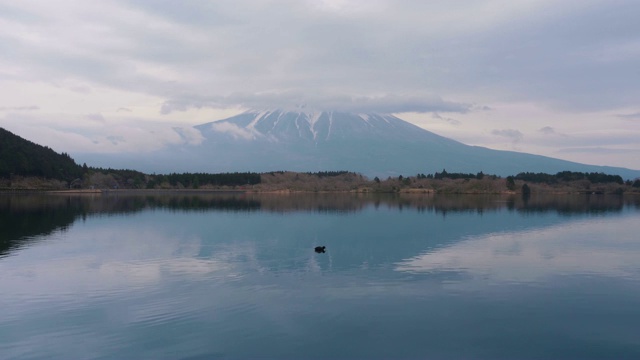 从田uki湖看富士山视频素材