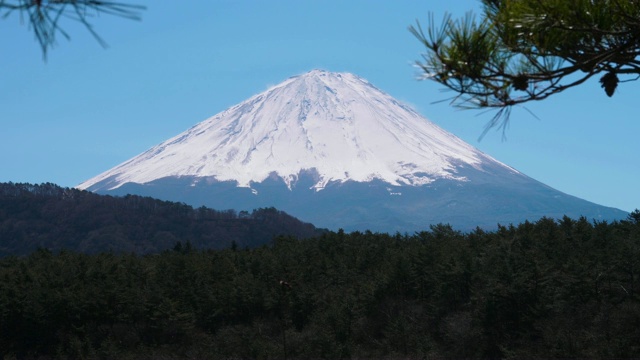 从Saiko湖看富士山视频素材