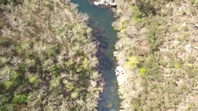 无人机鸟瞰图，河流景观，Vouga河和河岸与典型的葡萄牙植被视频素材