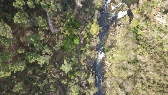 无人机鸟瞰图，河流景观，Vouga河和河岸与典型的葡萄牙植被视频素材