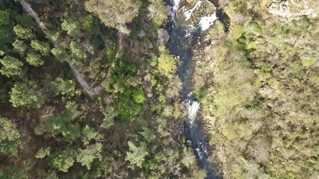 无人机鸟瞰图，河流景观，Vouga河和河岸与典型的葡萄牙植被视频素材