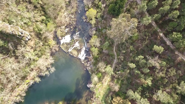 无人机鸟瞰图，河流景观，Vouga河和河岸与典型的葡萄牙植被视频素材