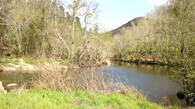 无人机鸟瞰图，河流景观，Vouga河和河岸与典型的葡萄牙植被视频下载