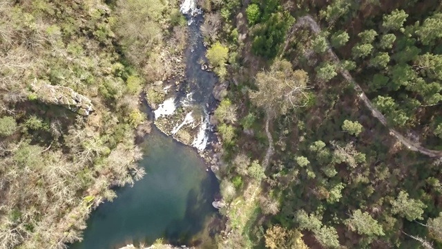 无人机鸟瞰图，河流景观，Vouga河和河岸与典型的葡萄牙植被视频素材