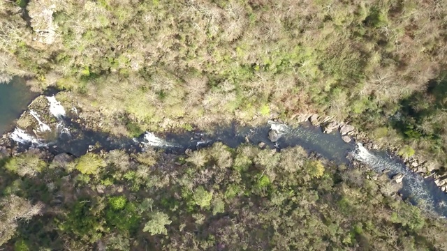 无人机鸟瞰图，河流景观，Vouga河和河岸与典型的葡萄牙植被视频素材