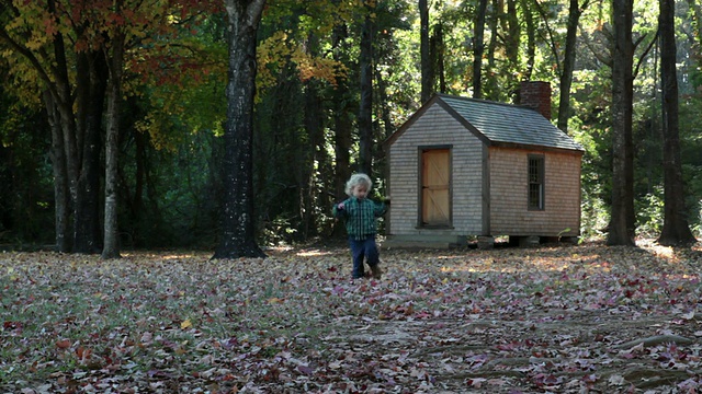 在森林小屋视频素材