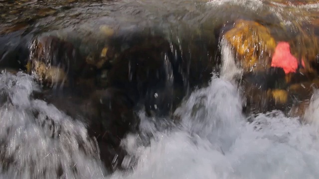 一个山区河流的特写与急流和石头视频下载