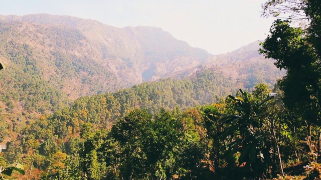 在夏日的森林和山谷中前进。尼泊尔。户外绿色自然景观山视频下载