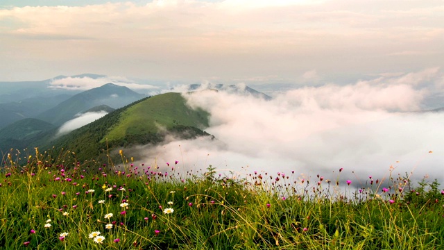 在阳光明媚的夏日早晨，云雾在绿色的群山中移动视频素材