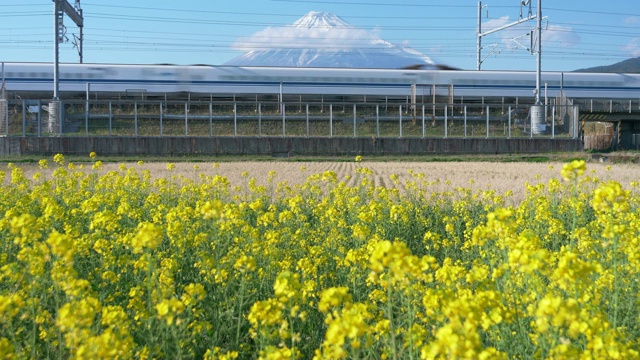 经过富士山的子弹头列车和油菜花视频素材