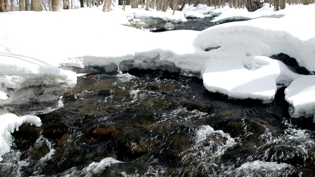 北海道森林小溪降雪视频素材