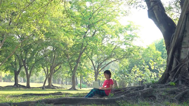 在一个阳光明媚的夏天，女孩们坐在树下使用电脑视频素材