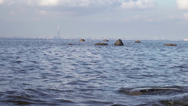 从芬兰湾俯瞰圣彼得堡的全景。正在建设中的俄罗斯天然气工业股份公司城楼位于市中心视频素材