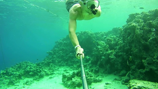 年轻男子浮潜彩色礁在红海，埃及视频素材