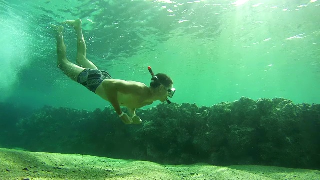 年轻男子浮潜和漂浮通过框架，水下在红海，埃及视频素材