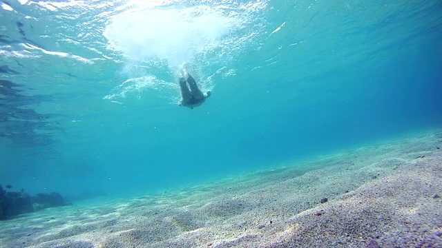 年轻男子浮潜和漂浮通过框架，水下在红海，埃及视频素材