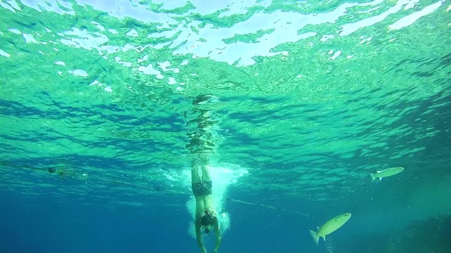 年轻男子自由潜水浮潜和漂浮通过框架，水下视图在红海，埃及视频素材