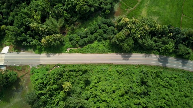 鸟瞰图:乡村公路从上面视频素材