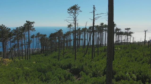 在阳光明媚的夏日，航拍下山坡下的海滩和蓝色的大海的风景视频素材