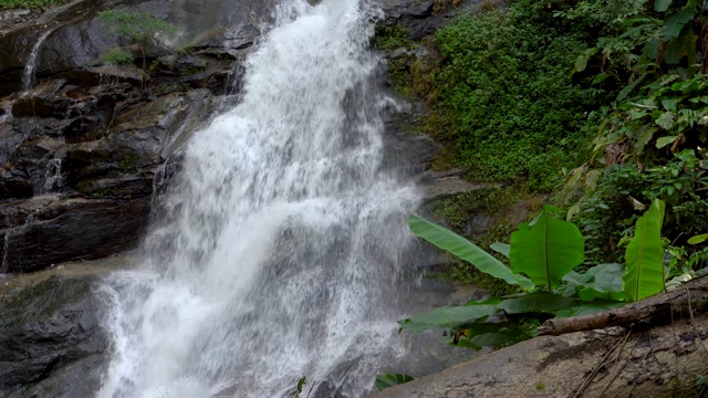 热带雨林中的丛林瀑布视频素材