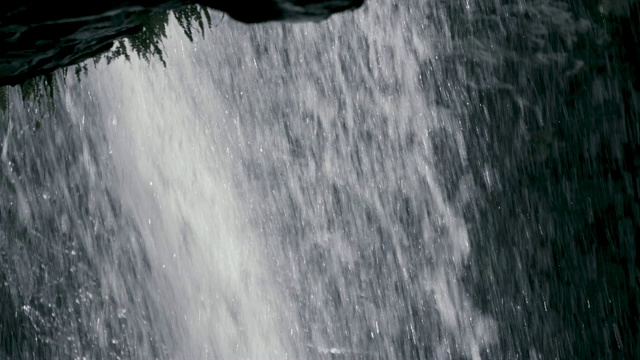 澳大利亚原始雨林中的瀑布视频下载