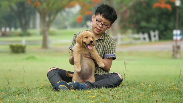 亚洲男孩和小狗狗视频素材