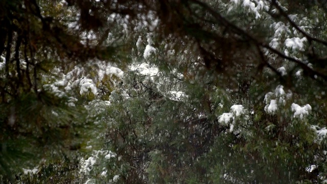 下雪慢动作视频素材