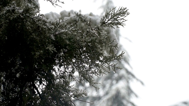 下雪慢动作视频素材