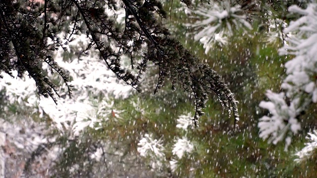 下雪慢动作视频素材