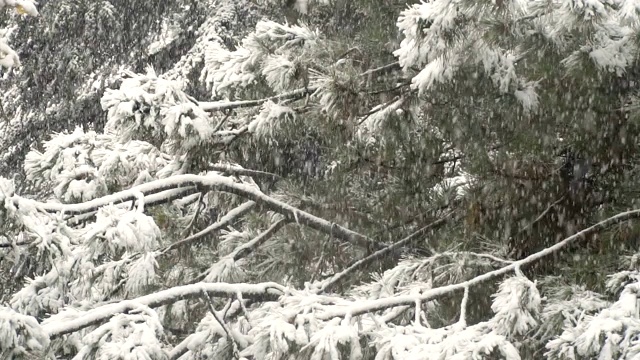 下雪慢动作视频素材