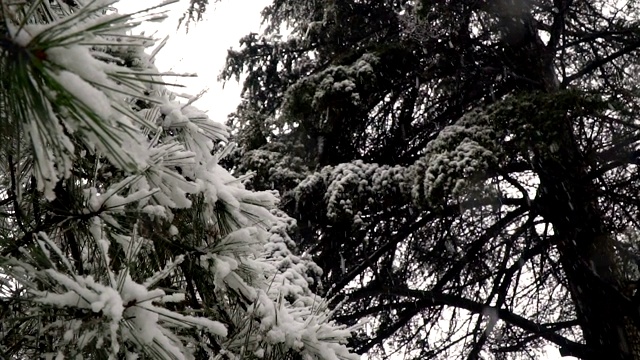 下雪慢动作视频素材