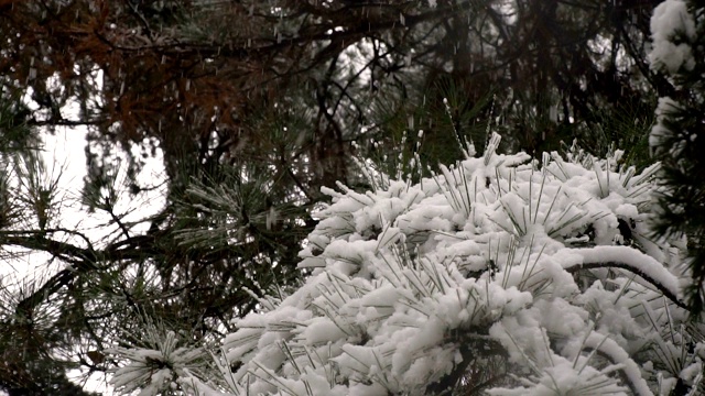 下雪慢动作视频素材