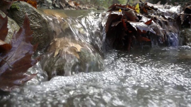 特写的流动的河流正面的观点视频下载