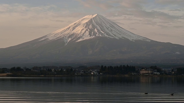 富士山日出和川口湖鸭子视频素材