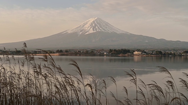 富士山日出和川口湖鸭子视频素材