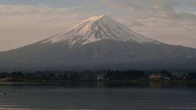 富士山日出和川口湖鸭子视频下载